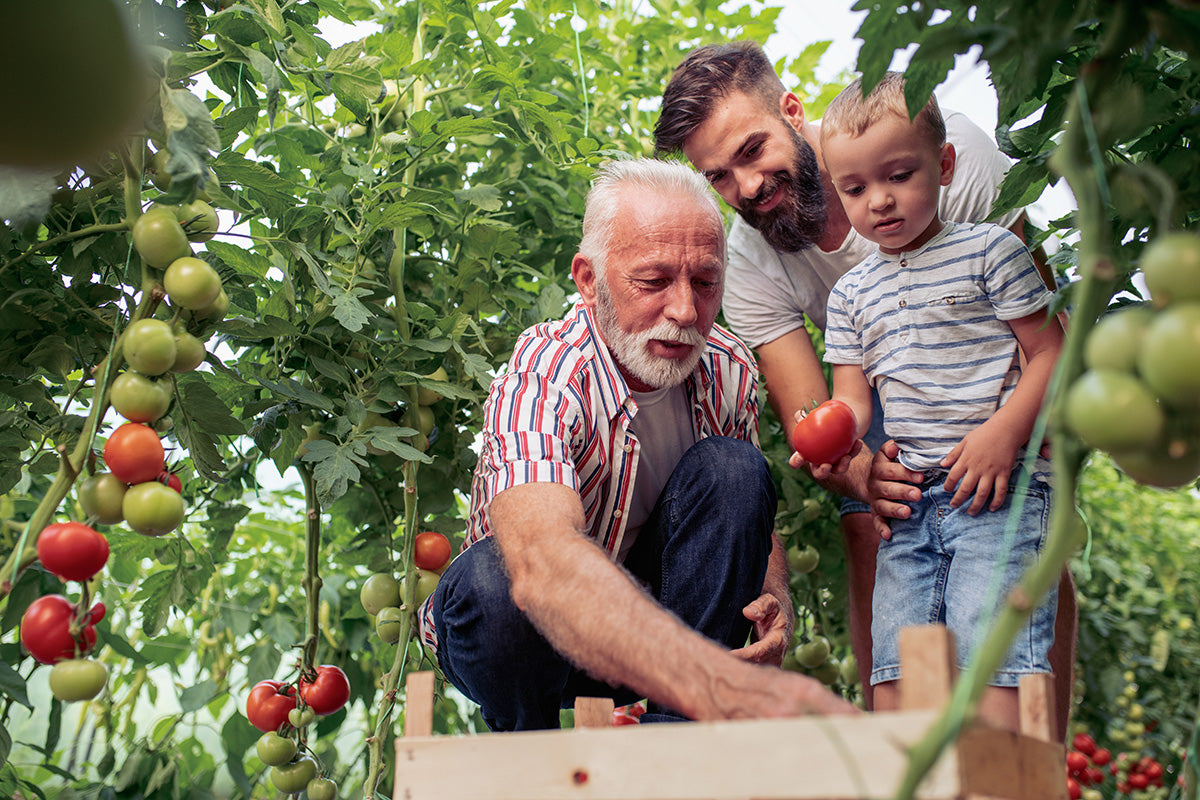 Best Greek Father's Day Gifts 2025 - Hellenic Sun Gifts