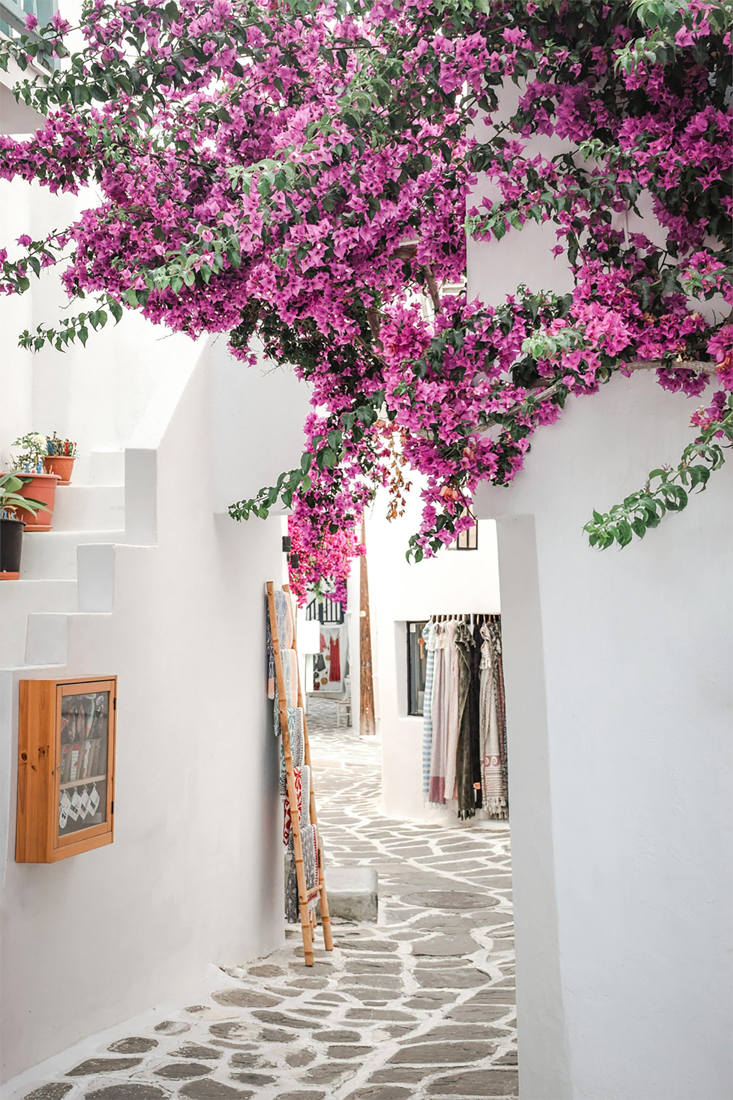 Pink Oleander White Path